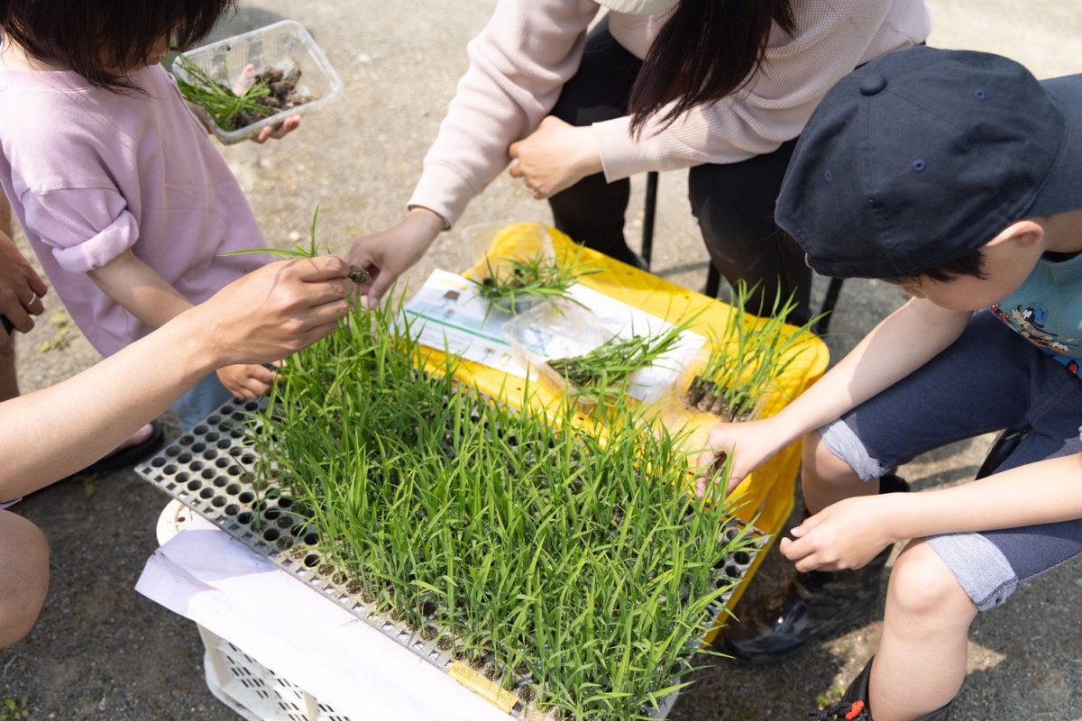 食と自然のつながりを学ぶ「生きもの豊かな田んぼの教室」とは？